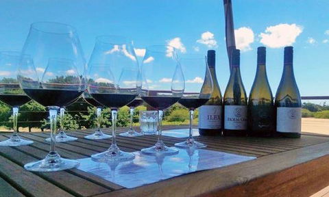 Currency Creek Winery Restaurant - New South Wales Tourism  14