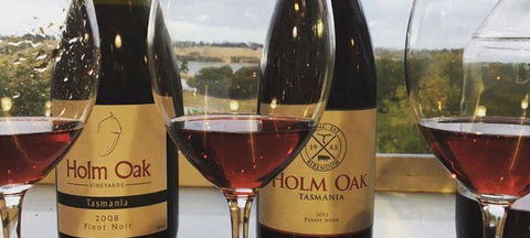 Currency Creek Winery Restaurant - New South Wales Tourism  1