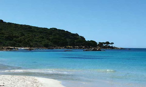Bunkers Beach House - New South Wales Tourism  10