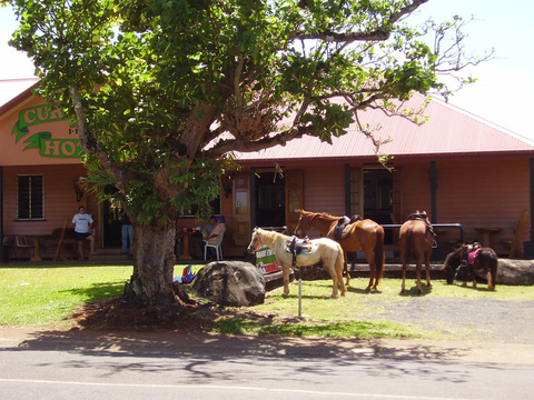 Currajah Hotel - New South Wales Tourism  1