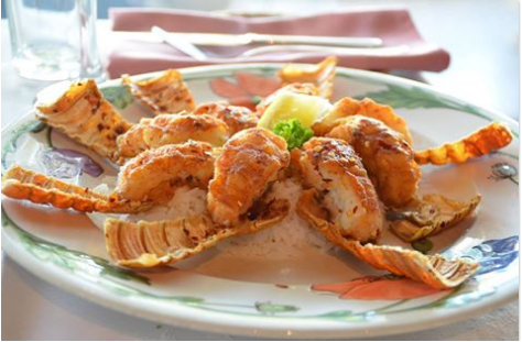 Tramontana At Evolution - New South Wales Tourism  2