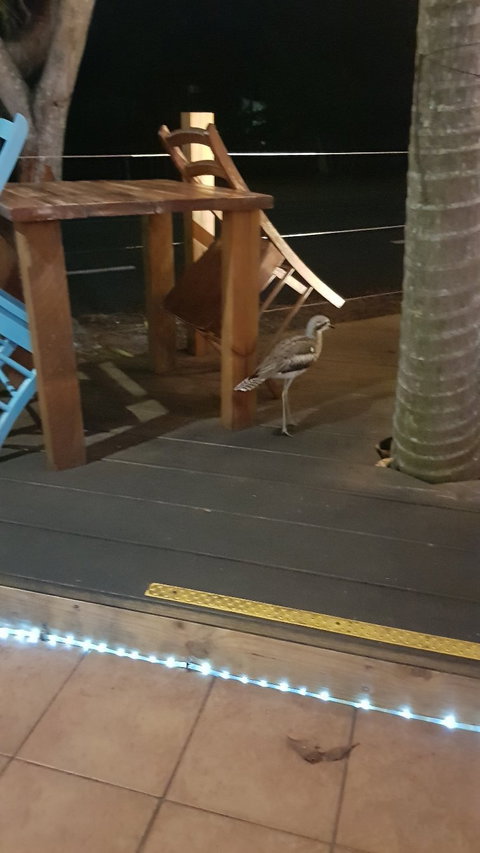 Coco Mojo - New South Wales Tourism  6