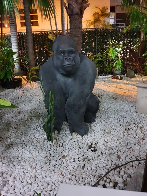 Tim’s Surf ‘n’ Turf - New South Wales Tourism  1