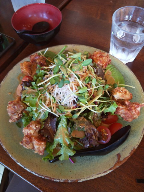 O-Sushi - New South Wales Tourism  4