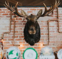 The Loose Moose Tap  Grill - New South Wales Tourism 