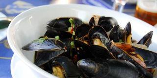 Bucatini - New South Wales Tourism  13