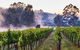 Millbrook Winery Restaurant - thumb 1