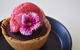 Ricciardo's Ristorante - thumb 10