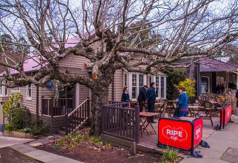 Ripe - New South Wales Tourism  0