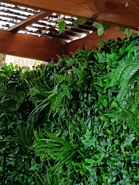 Secret Garden Cafe & Patisserie - New South Wales Tourism  5
