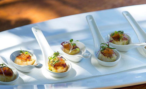 The Deck Poolside Bar & Restaurant - New South Wales Tourism  0