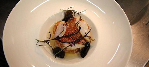 The Peak Restaurant At Spicers Peak Lodge - New South Wales Tourism  1