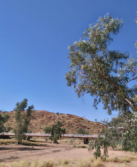 Bean Tree Cafe - New South Wales Tourism  3