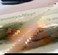 Red Rooster Marrara - New South Wales Tourism 