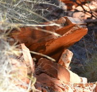 Under A Desert Moon - New South Wales Tourism 