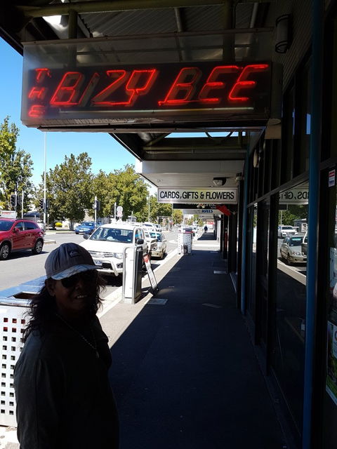 Bizy Bee - New South Wales Tourism  5