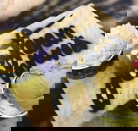 Johnn Johnns - New South Wales Tourism 