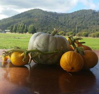 Mount Gnomon Farm