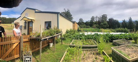 Springfield Tea Room - New South Wales Tourism  0