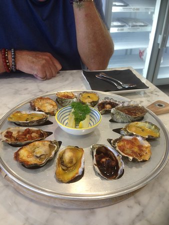 Tarkine Fresh Oysters - New South Wales Tourism  0