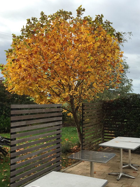 Windermere Cafe - New South Wales Tourism  5