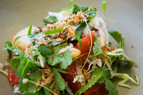 QAG Cafe - New South Wales Tourism  0