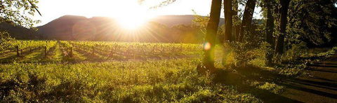 Sam Miranda King Valley - New South Wales Tourism  4