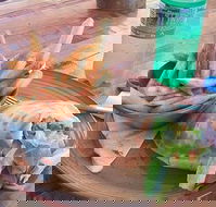 Nando's Ellenbrook - New South Wales Tourism 