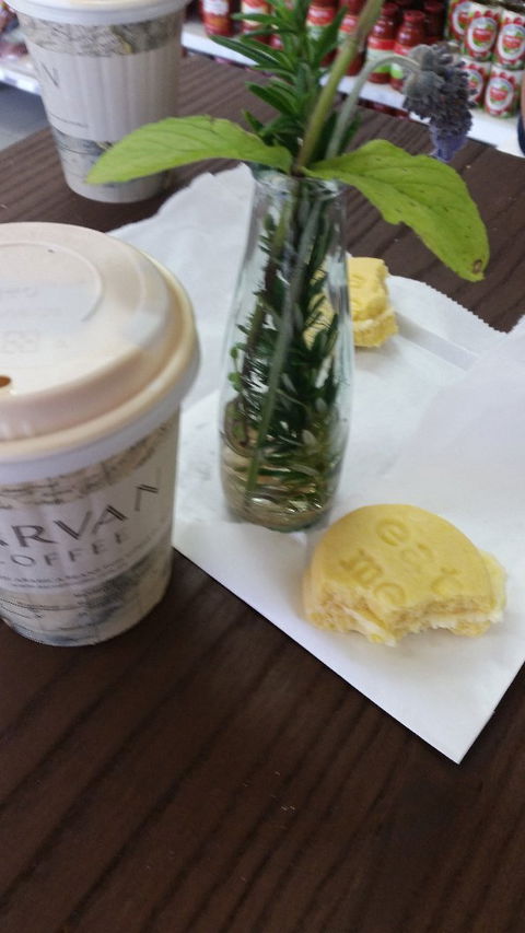 Coogee Continental Deli - New South Wales Tourism  4