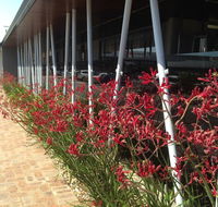 BiteZ - New South Wales Tourism 