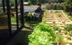 Petra Olive Oil Shed Door Tasting Room & Farm Shop - thumb 2
