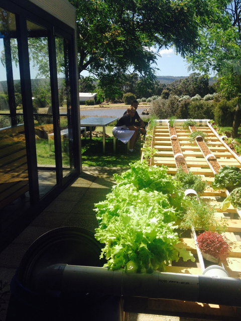 Petra Olive Oil Shed Door Tasting Room & Farm Shop - New South Wales Tourism  2
