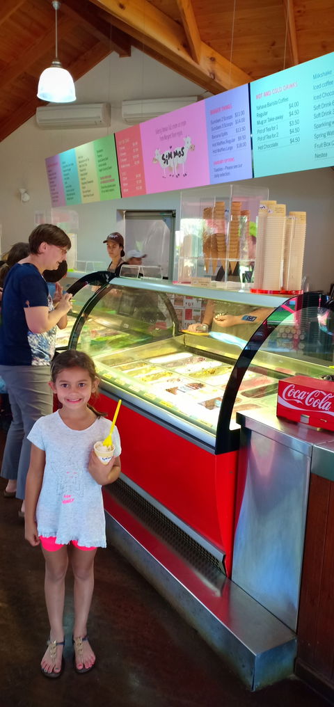 Simmo's Icecreamery - New South Wales Tourism  7