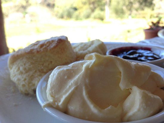 Wandering WA New South Wales Tourism 