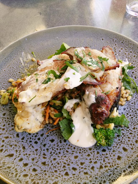 Lickerish - New South Wales Tourism  12