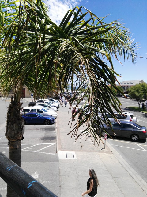 Lickerish - New South Wales Tourism  8