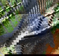 Cafe Settebello - New South Wales Tourism 