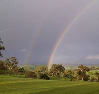 Tenafeate Creek Winery - New South Wales Tourism 
