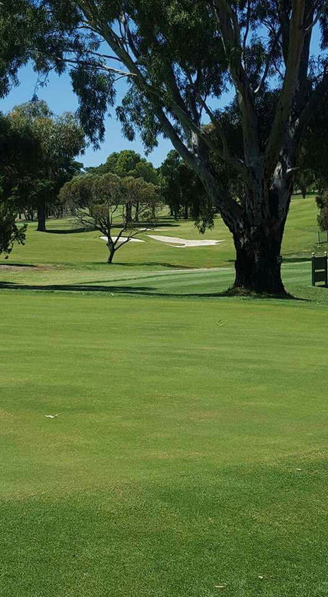 The Park Restaurant - New South Wales Tourism  1