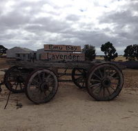 Emu Bay Lavender - New South Wales Tourism 