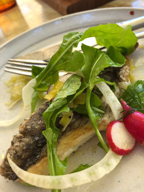 FINO Seppeltsfield - New South Wales Tourism  1