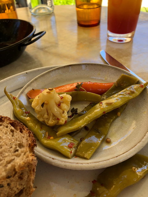 FINO Seppeltsfield - New South Wales Tourism  3