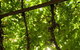 Vintner's Bar And Grill - thumb 6