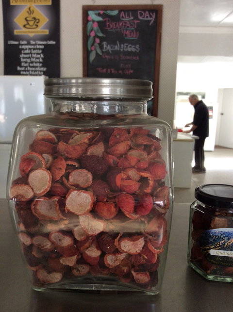 Copley Bush Bakery And Quandong Cafe - New South Wales Tourism  4