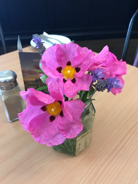 Kincraig Hotel - New South Wales Tourism  3