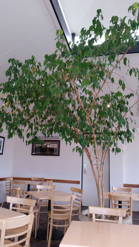 Lobethal Bakery - New South Wales Tourism  1