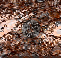 Qahwa Espresso Bar and Coffee Roasters - New South Wales Tourism 