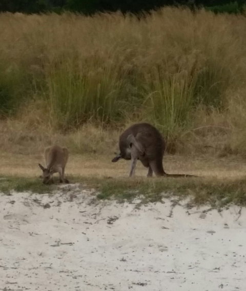 The Range Restaurant - New South Wales Tourism  3