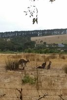 The Range Restaurant - New South Wales Tourism  4