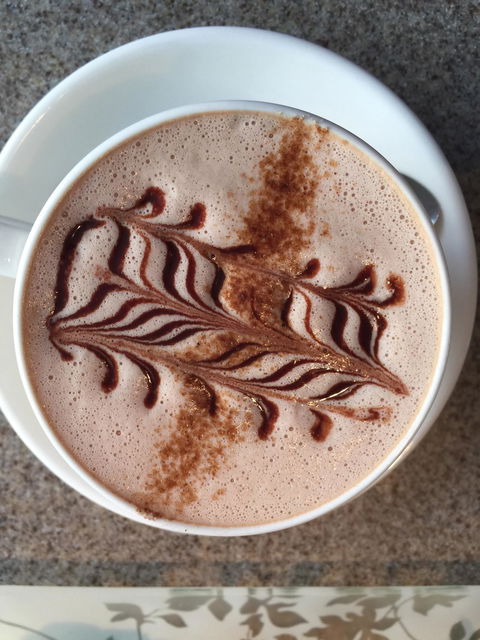 Cocobean Chocolate - New South Wales Tourism  4